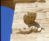 wpe5B.jpg (12664 octets)